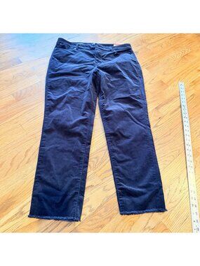 TALBOTS SLIM ANKLE WOMENS BLUE VELOUR CORDUROY PANTS NEW 12